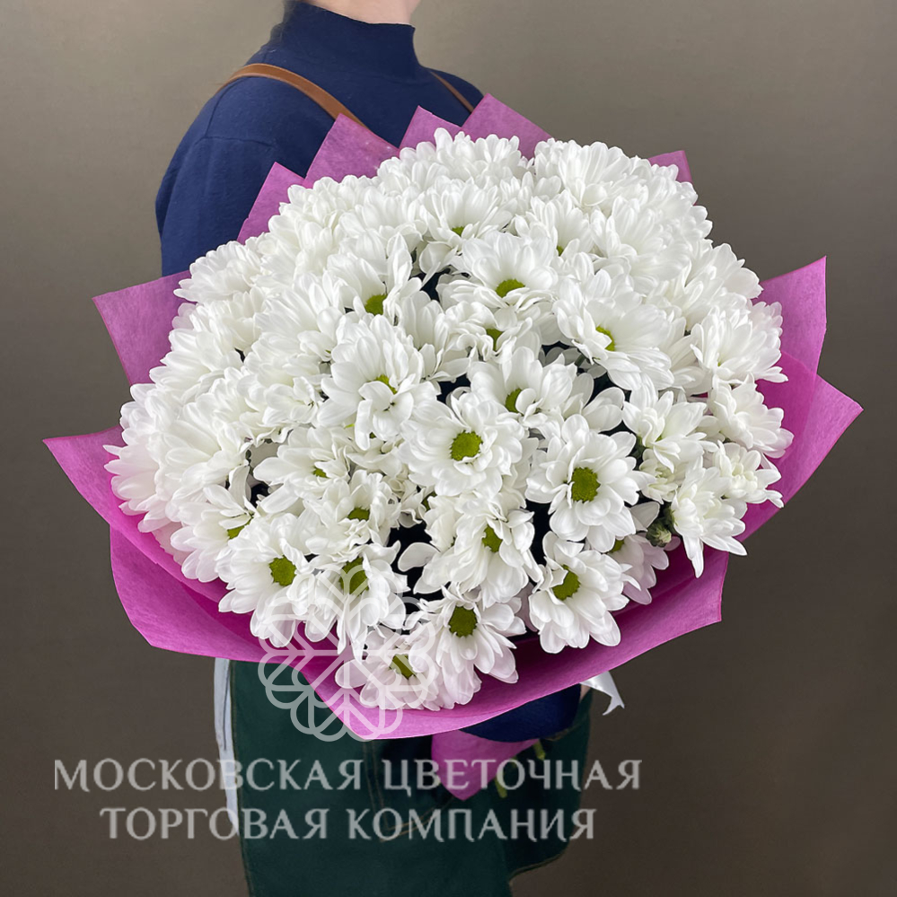 Собранный букет 15 Кустовых Хризантем-Ромашек Микс